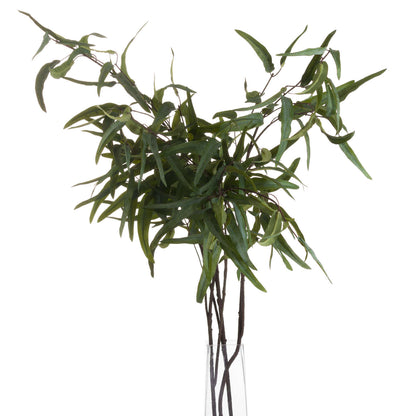 Eucalyptus Nicholii Spray image 3
