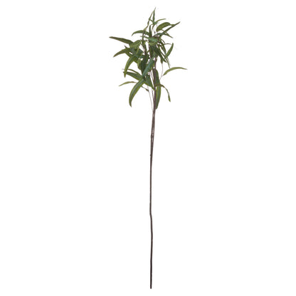 Eucalyptus Nicholii Spray image 5
