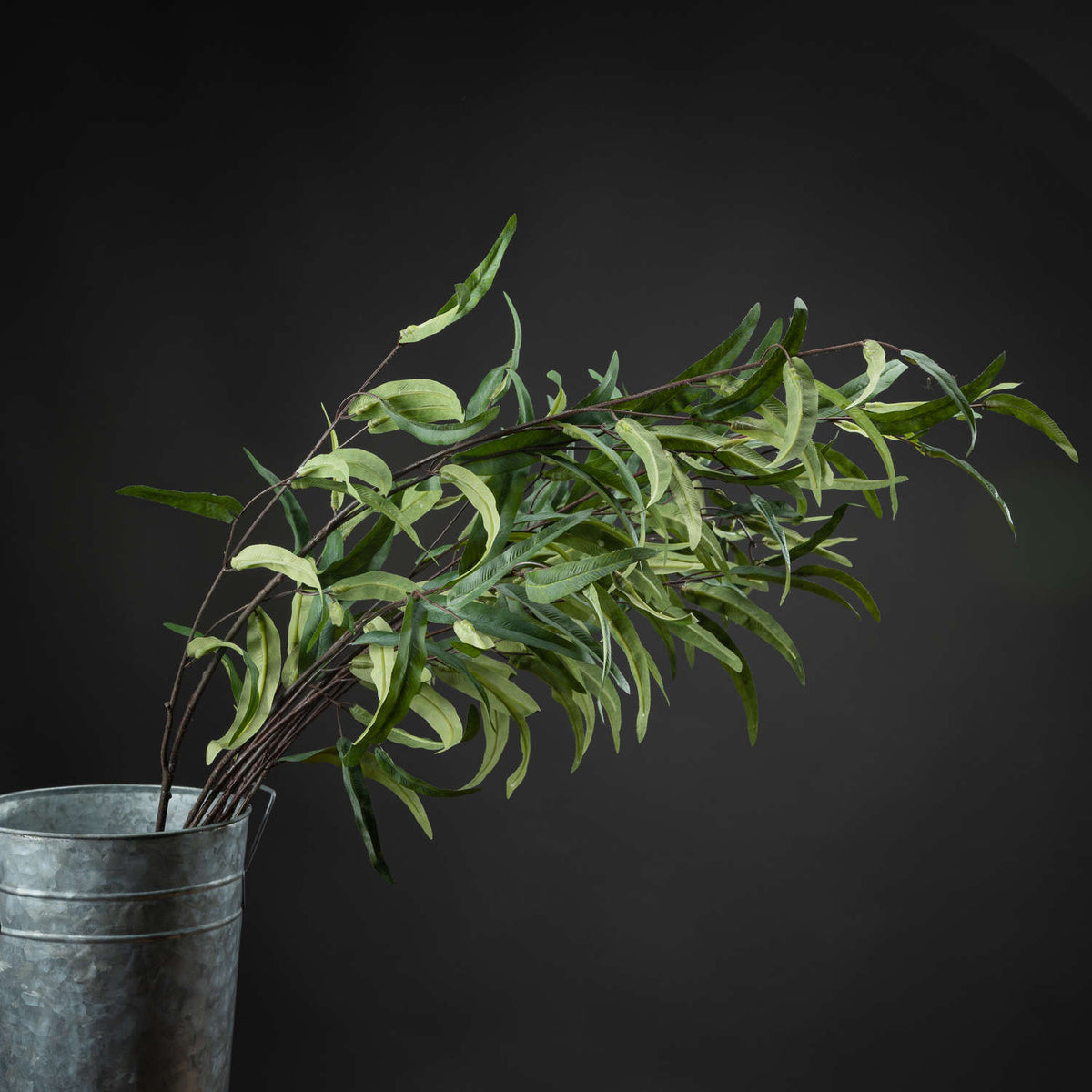 Eucalyptus Nicholii Spray image 1