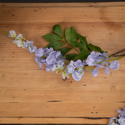 Lilac Wisteria image 2