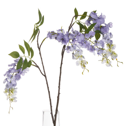 Lilac Wisteria image 3