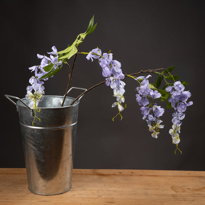 Lilac Wisteria image 1