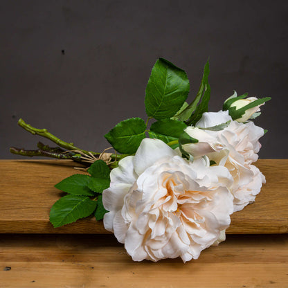 Peachy Cream Short Stem Rose Bouquet image 1