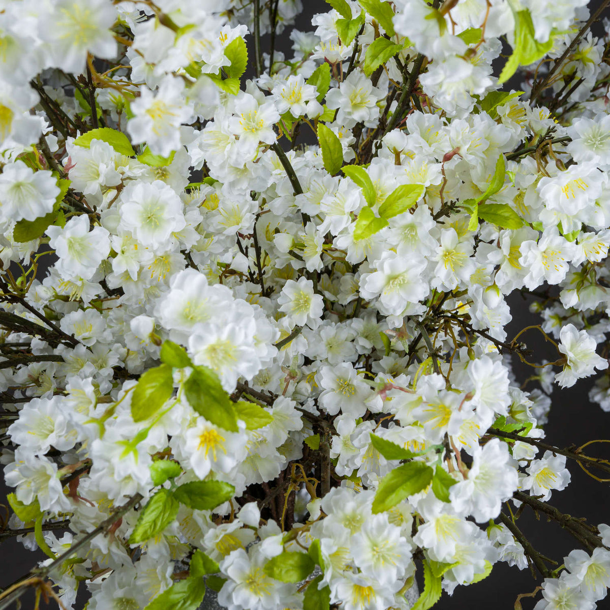 White Cherry Blossom Spray image 2