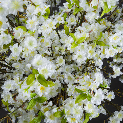 White Cherry Blossom Spray image 2