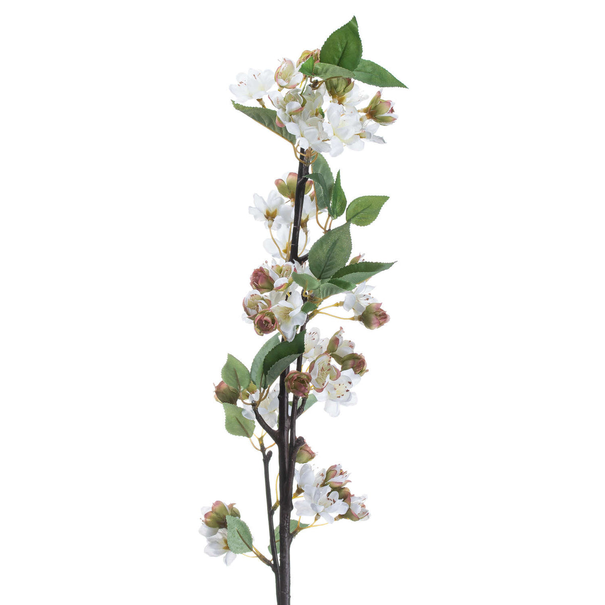 English Blossom Branch image 3