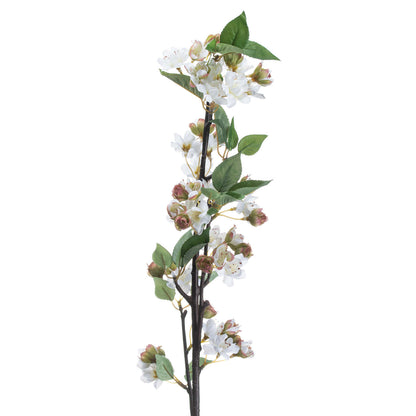 English Blossom Branch image 3