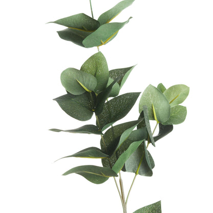 Eucalyptus Filler image 2