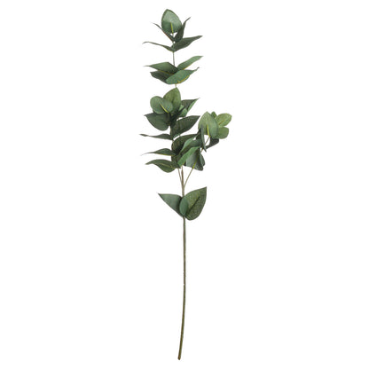 Eucalyptus Filler image 1