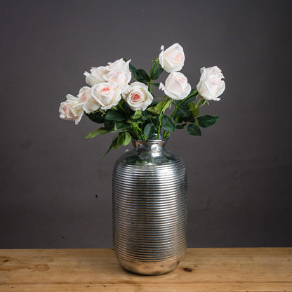 Palest Pink Tea Rose image 1
