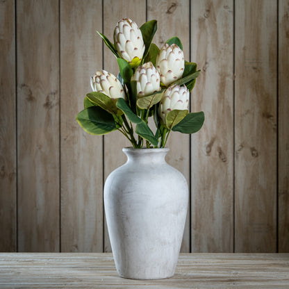Closed White Protea image 2