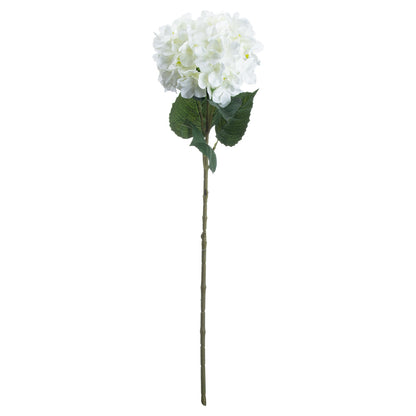 Single White Hydrangea image 3