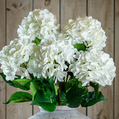 Single White Hydrangea image 1