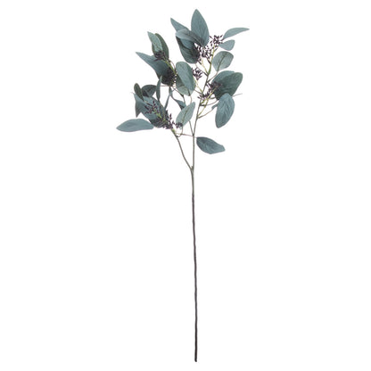 Seeded Eucalyptus Stem image 3