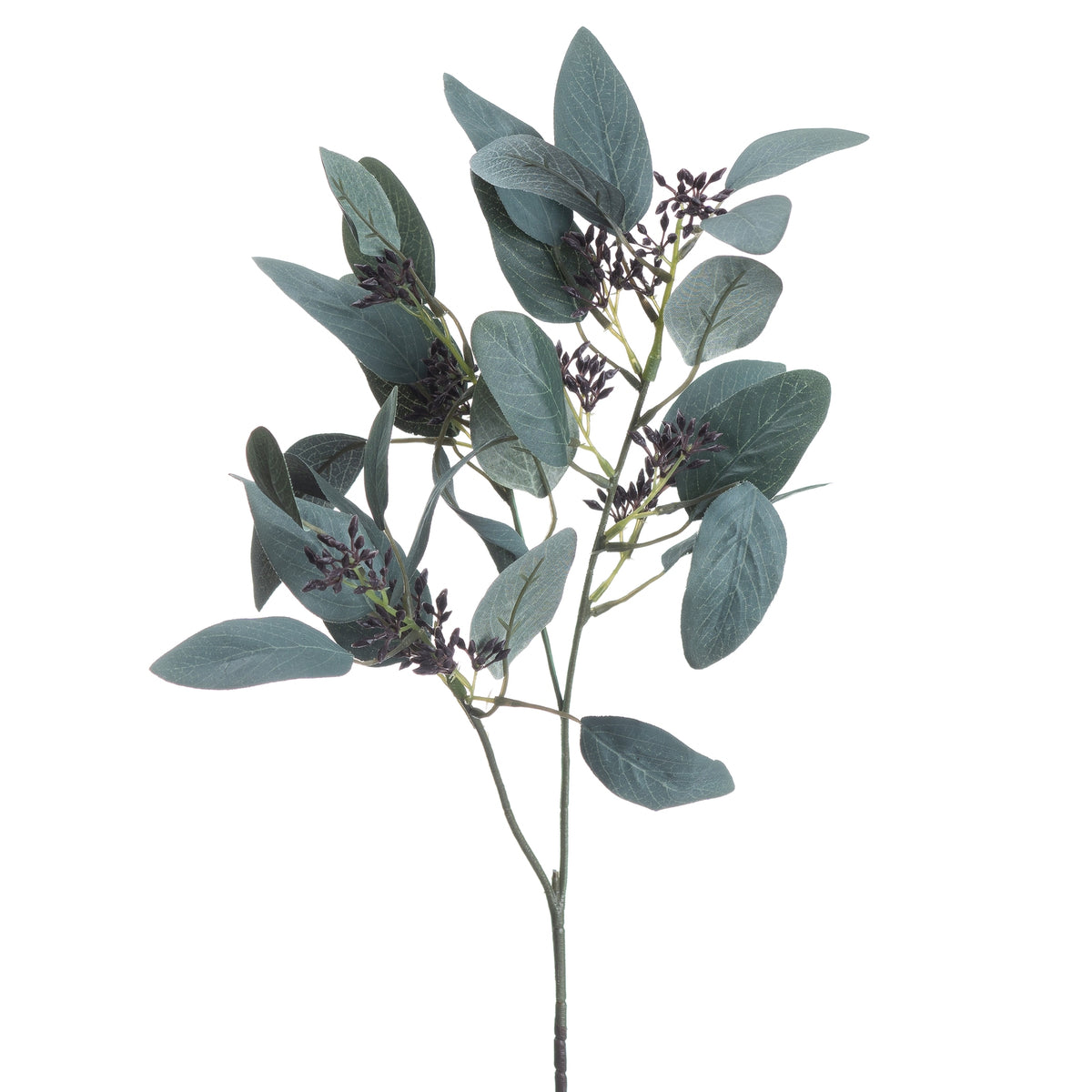 Seeded Eucalyptus Stem image 4