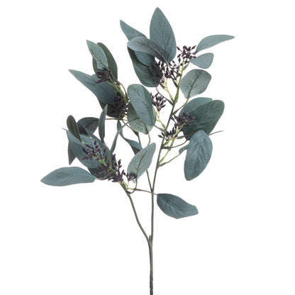 Seeded Eucalyptus Stem image 4