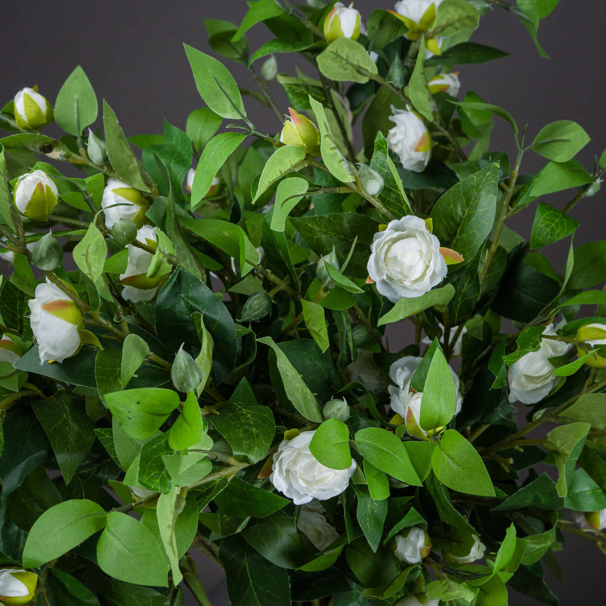 Cream Gardenia Stem image 2