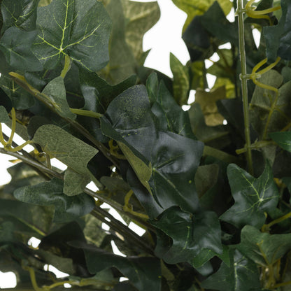 Ivy Pick image 2