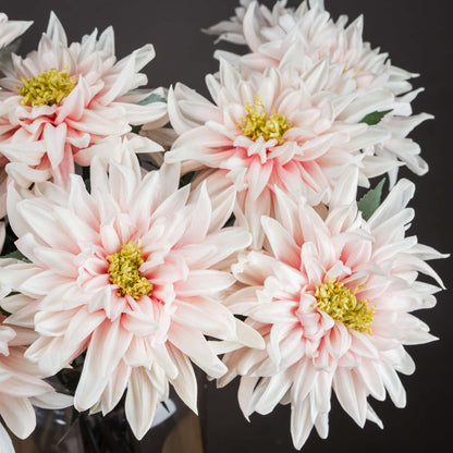 Lush Pink Dahlia image 2