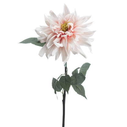 Lush Pink Dahlia image 3
