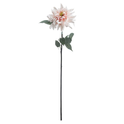 Lush Pink Dahlia image 4
