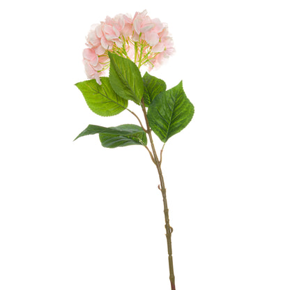 Single Pink Hydrangea image 1