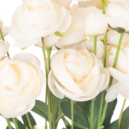 Cream Ranunculus image 2