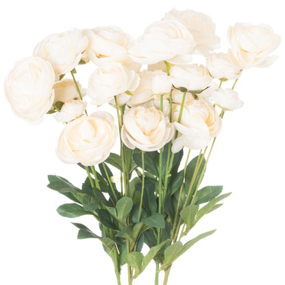 Cream Ranunculus image 1