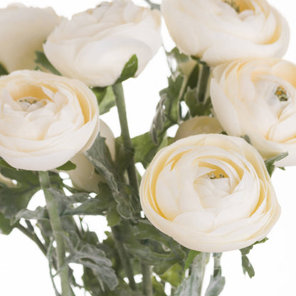 Soft Cream Ranunculus image 2