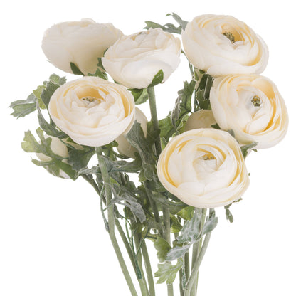 Soft Cream Ranunculus image 1