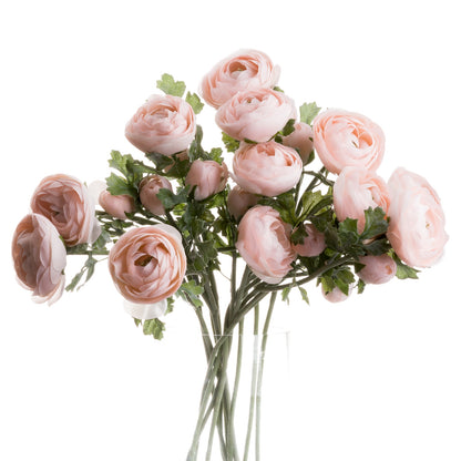 Pastel Pink Ranunculus image 3