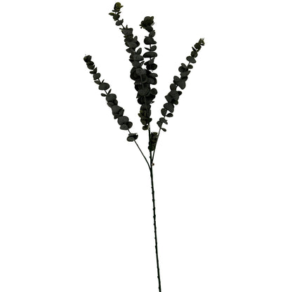 Silver Dollar Eucalyptus image 1