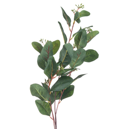 Summer Seeded Eucalyptus image 3