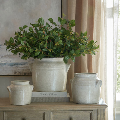 Summer Seeded Eucalyptus image 1