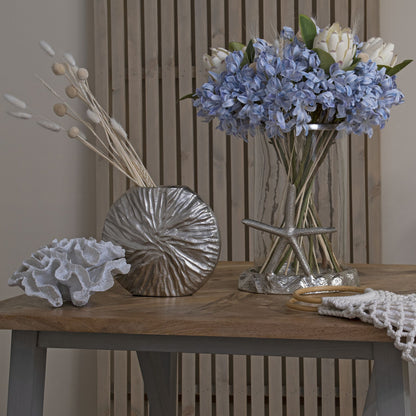 Light Blue Large Headed Agapanthus image 5