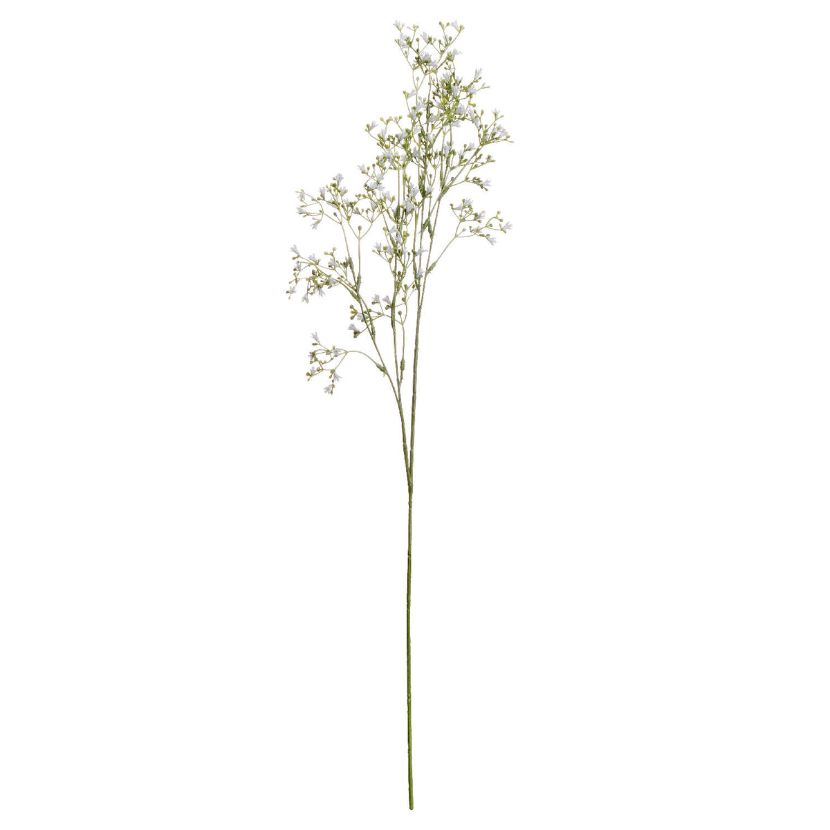White Gypsophila Spray image 2