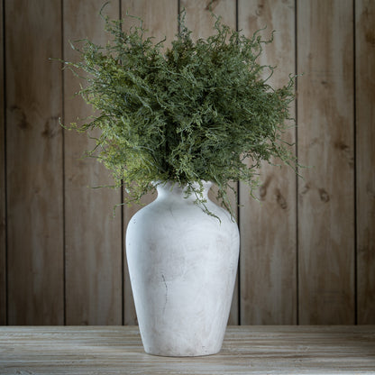 Asparagus Fern Bunch image 2