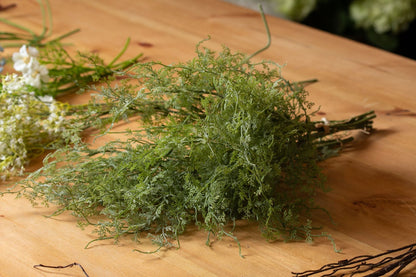 Asparagus Fern Bunch image 5