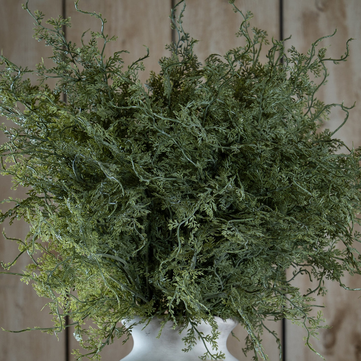 Asparagus Fern Bunch image 1