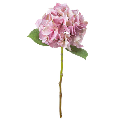 Shabby Pink Single Hydrangea image 2