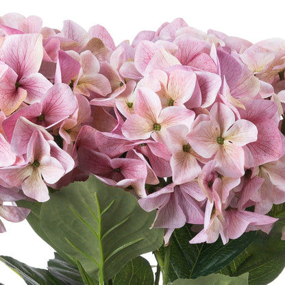 Shabby Pink Hydrangea Bouquet image 3