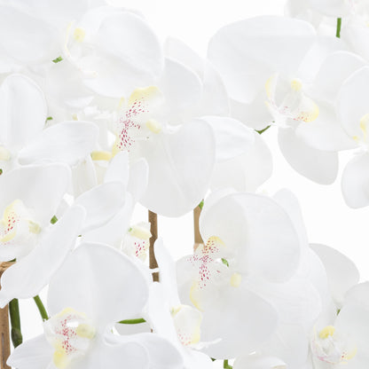Large White Tall Orchid In Glass Pot image 2
