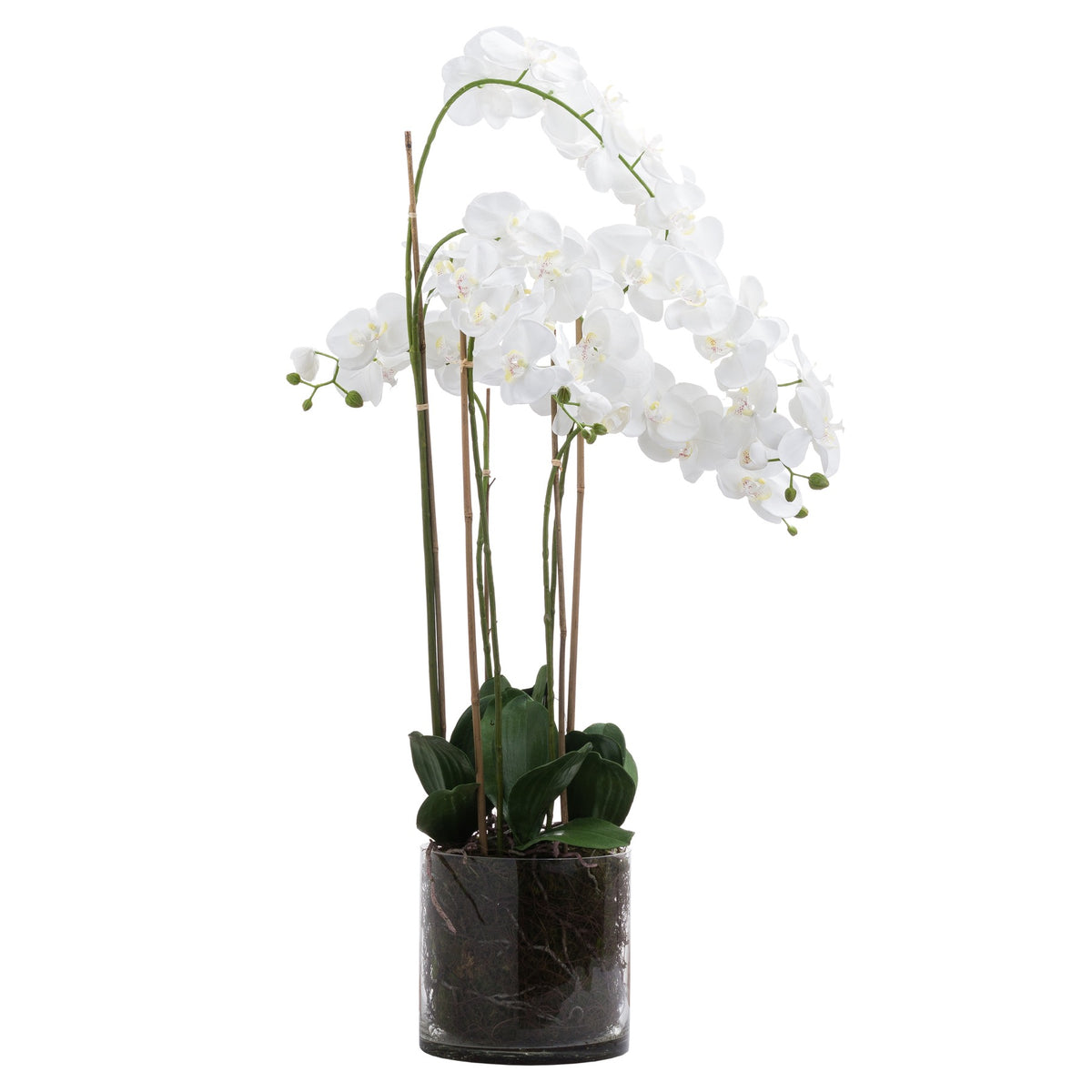Large White Tall Orchid In Glass Pot image 1