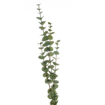 Large Cineraria Eucalyptus Spray image 1