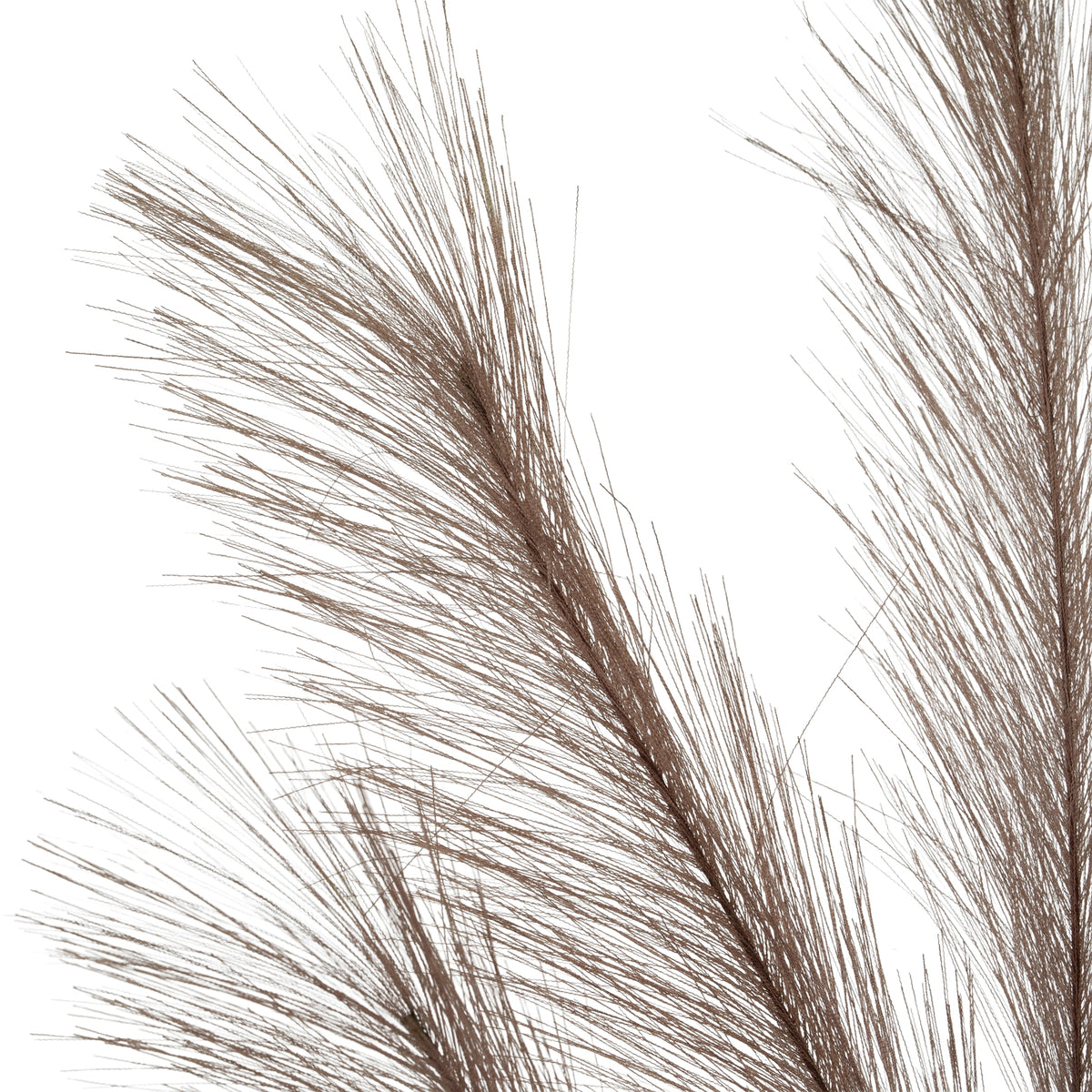 Grey Large Faux Pampas Grass Stem image 4