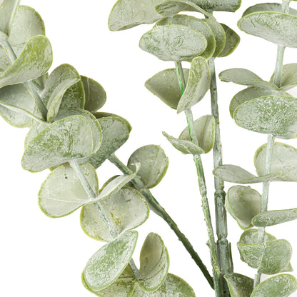 Gunnii Eucalyptus Spray image 2
