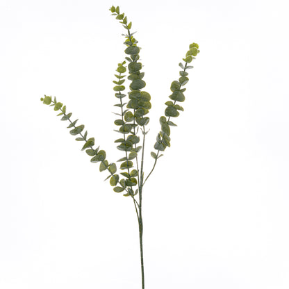 Gunnii Eucalyptus Spray image 1