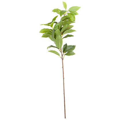 Laurel Leaf Spray image 2