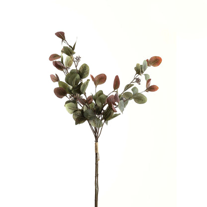 Variegated Eucalyptus Bouquet image 2