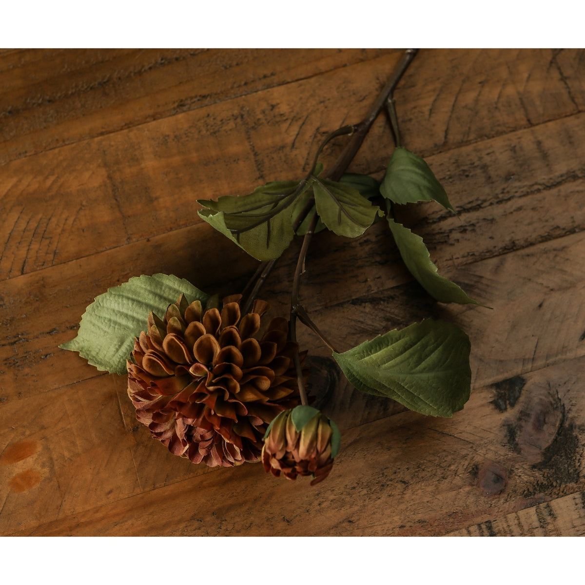 Deep Mustard Dahlia Stem image 5